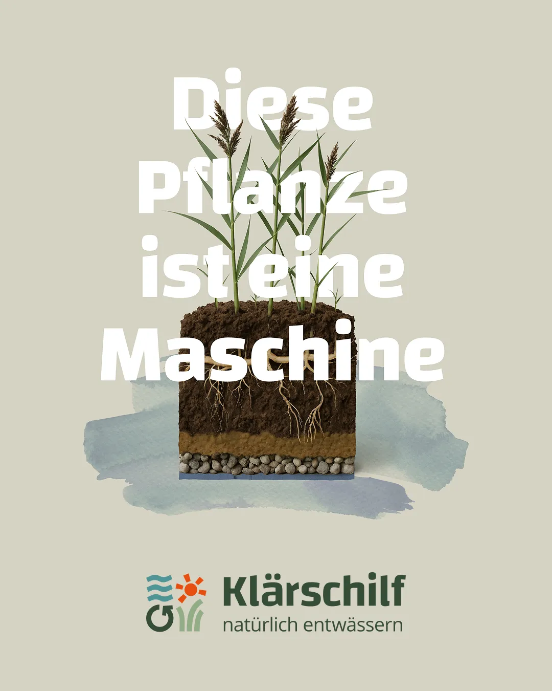 Logo von Klärschilf mit dem Slogan "natürlich entwässern", daneben Schilf und eine Libelle vor einem hellblauen Fleck.